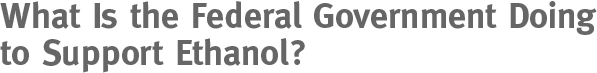 What Is The Federal Government Doing to Support Ethanol?